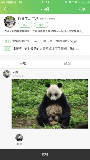 pandapia
