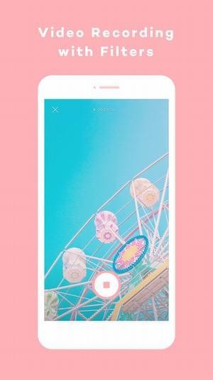 Pictail PinkLadyͼ3