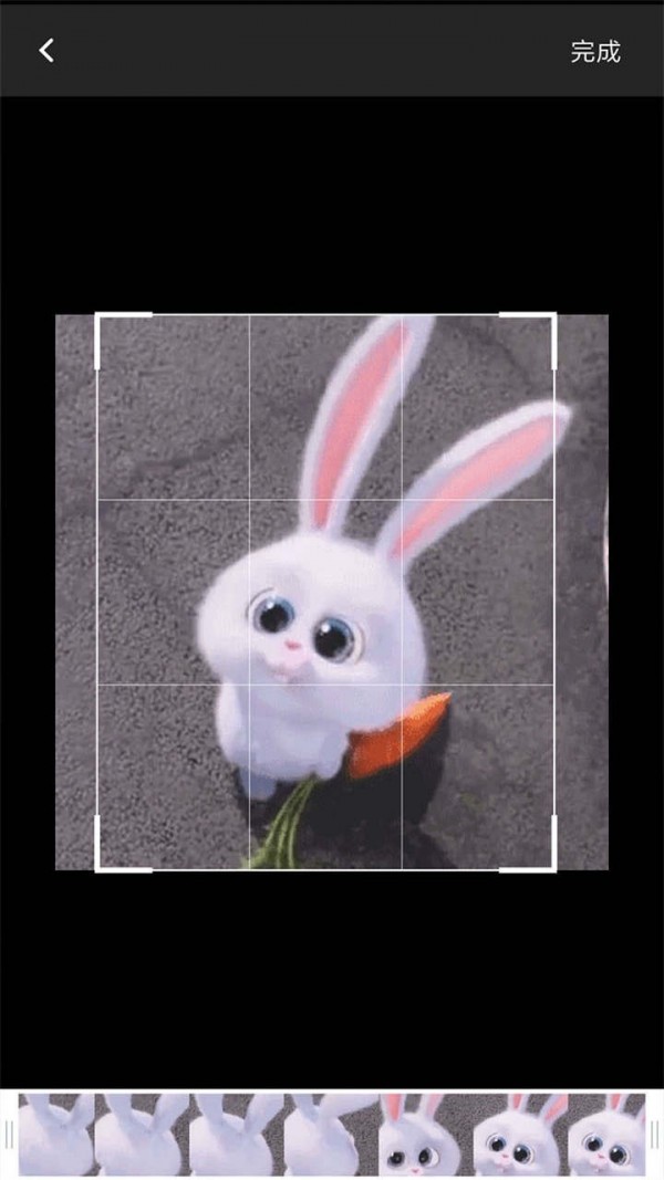 gifͼ3