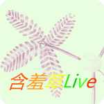 ֱ߲app