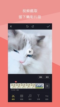 Ƶƴ
