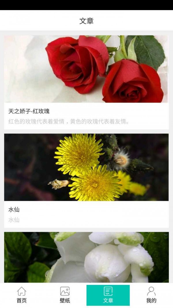 黨ǲͼ2