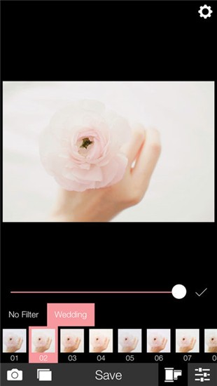 Analog Weddingͼ1