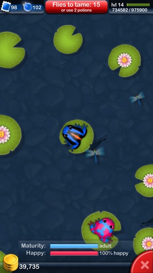 Pocket Frogsͼ1
