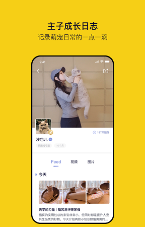 Feedͼ2