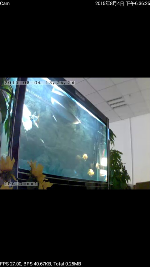 p2plivecam 