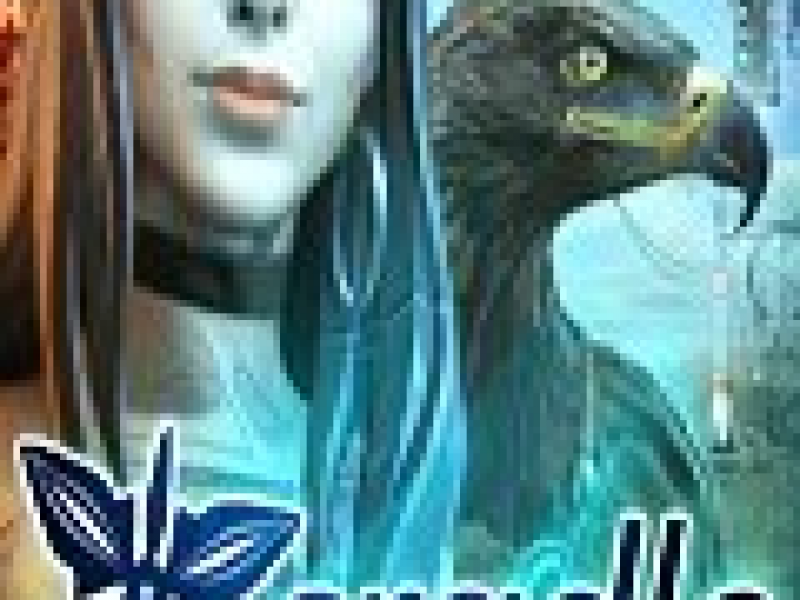 ҡ 