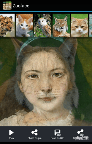 Zoofaceͼ1