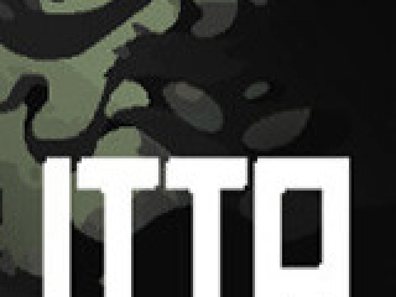ITTA ƽ