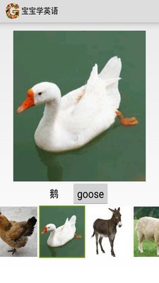 ɱѧӢ