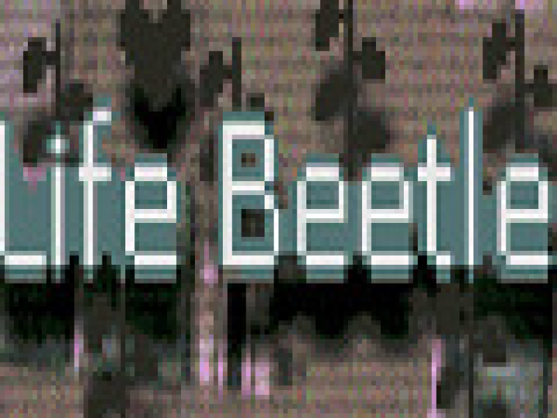 Life Beetle Ӣİ