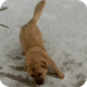 п⼰