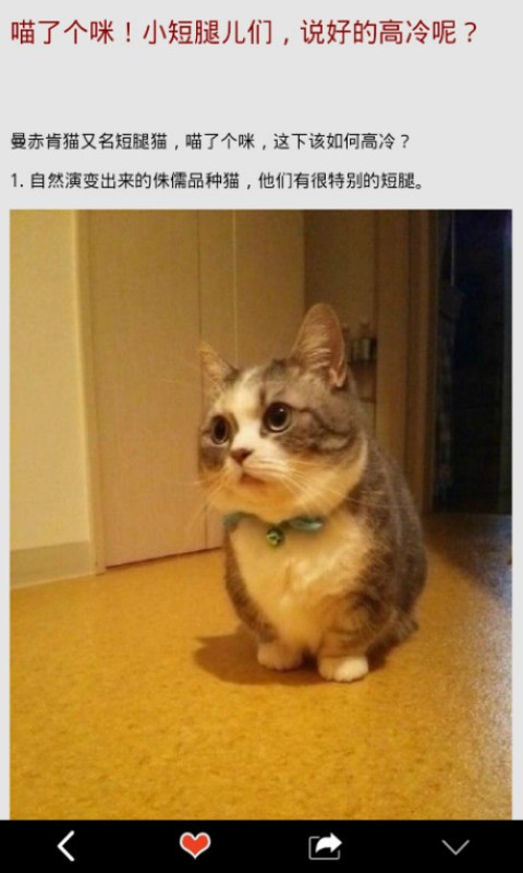 껭