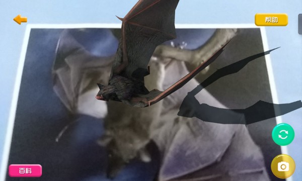 ѧʵҴ