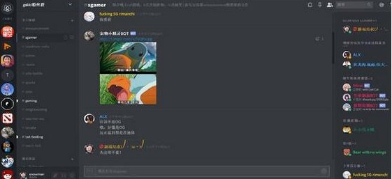 Discord(칵ͨ)