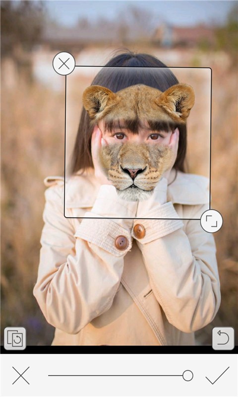 㶯ͼ0