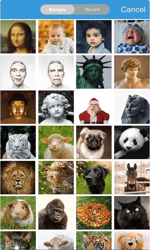 face story