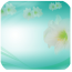ӢӢ귢