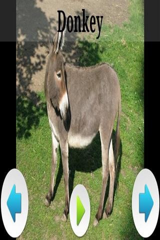 ʶͼ2
