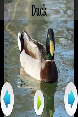 ʶͼ3