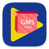 gms core