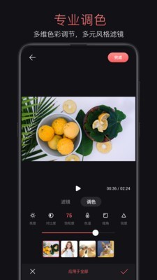 ͼ2