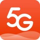 5g
