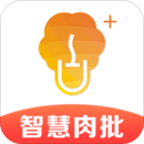 ǻ