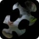 èƶ֮