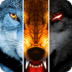 (Wolf Online)