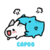Capoo