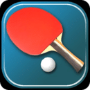 Virtual Table Tennis