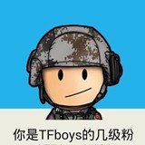 TFboysļ