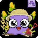 ũ