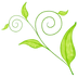 ɻ