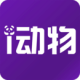 涯