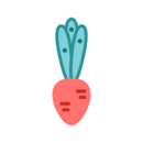 ʵ