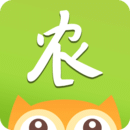 ũ