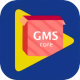 gmsinstallerװ(ȸgmsװ)