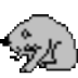 PCsELcad(רҵͼ)