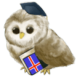 ѧϰ