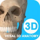 ά3D
