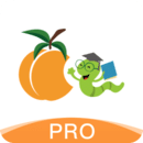 ѧPro