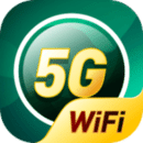 5G