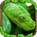 ģ