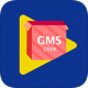 Ϊgms coreװ