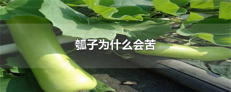 Ϊʲô