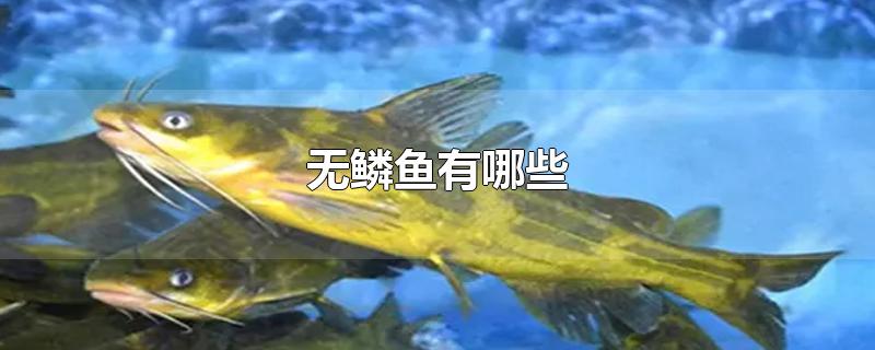 Щ