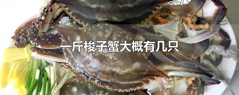 һзмֻ