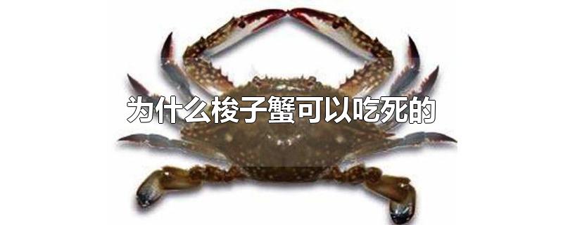 ΪʲôзԳ